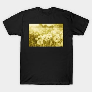 Endless dandelions T-Shirt